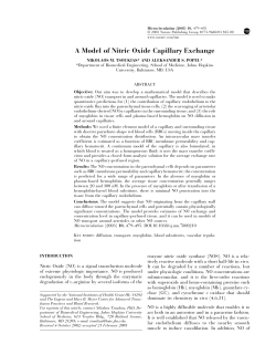 A Model of Nitric Oxide Capillary Exchange