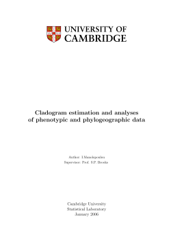 Cladogram estimation and analyses of phenotypic and