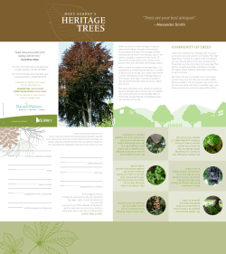 Heritage Trees brochure