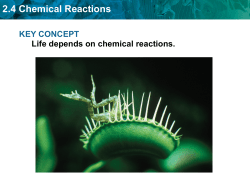 2.4 Chemical Reactions
