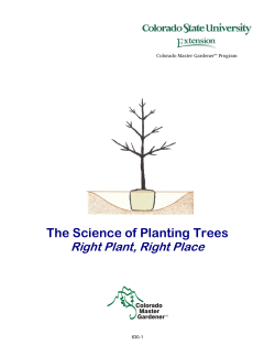 The Science of Planting Trees - Colorado State University Extension