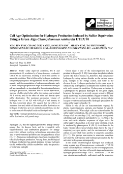 Cell Age Optimization for Hydrogen Production Induced by Sulfur