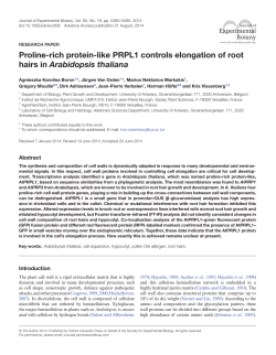 Proline-rich protein-like PRPL1 controls