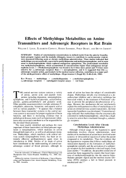 Effects of Methyldopa Metabolites on Amine