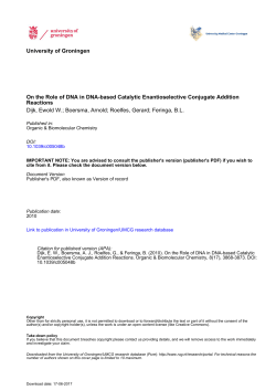 University of Groningen On the Role of DNA in DNA-based