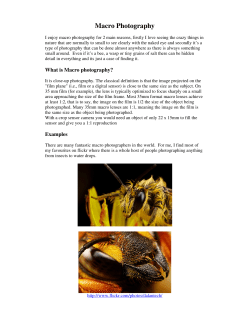 Macro Photography - Cork Camera Group