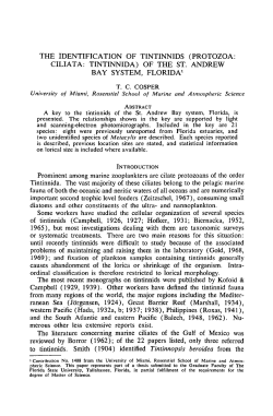 the identification of tintinnids (protozoa: ciliata