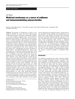 Medicinal mushrooms as a source of antitumor and