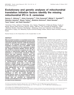 Evolutionary and genetic analyses of mitochondrial translation