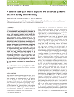 A carbon costgain model explains the observed patterns of xylem