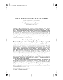MARINE MICROBIAL THIOTROPHIC ECTOSYMBIOSES