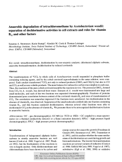Anaerobic degradation of tetrachloromethane by Acetobacterium