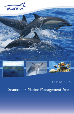 Seamounts Marine Management Area