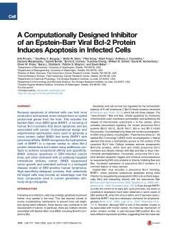 A Computationally Designed Inhibitor of an Epstein