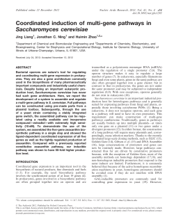 Coordinated induction of multi-gene pathways in
