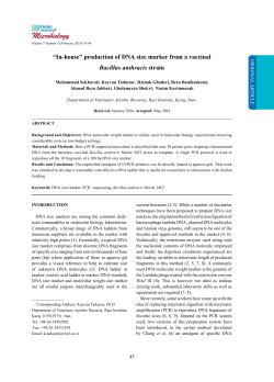 production of DNA size marker from a vaccinal Bacillus anthracis strain