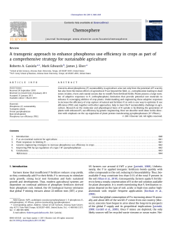 A transgenic approach to enhance phosphorus use efficiency