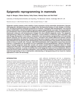 Epigenetic reprogramming in mammals
