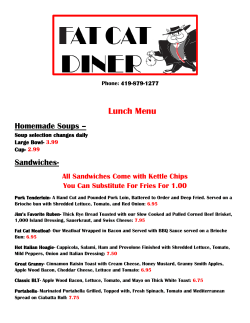Lunch Menu - Fat Cat Diner