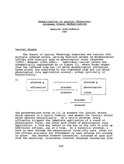 Javanese Plural Reduplication USC The theory of Lexical