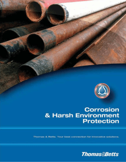 Corrosion and Harsh Environment Protection Brochure