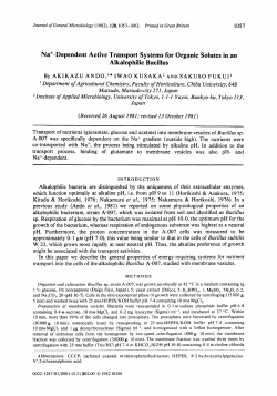 Na+-Dependent Active Transport Systems for Organic