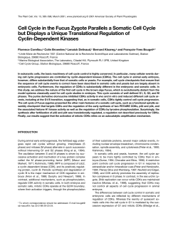 Cell Cycle in the Fucus Zygote Parallels a Somatic