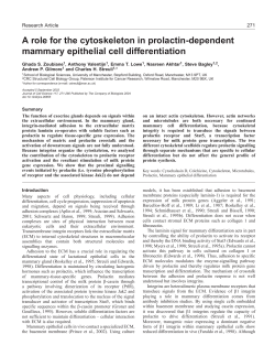 A role for the cytoskeleton in prolactin