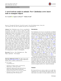 A novel tool-use mode in animals: New