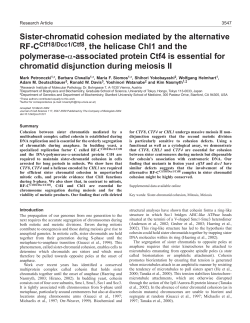 Sister-chromatid cohesion mediated by the alternative RF