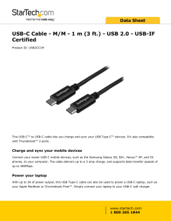 USB-C Cable - M/M - 1 m (3 ft.) - USB 2.0