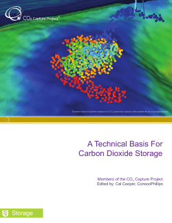 A Technical Basis For Carbon Dioxide Storage