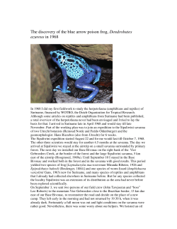 The discovery of the blue arrow poison frog, Dendrobates azureus in