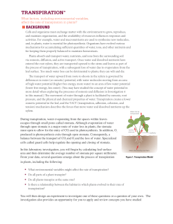 Photosynthesis Inquiry Lab