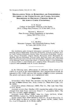 miscellaneous notes on bwrestidae occurring in the united states