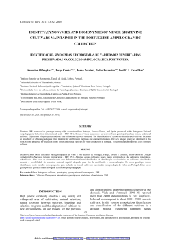 Identity, synonymies and homonynies of minor grapevine cultivars