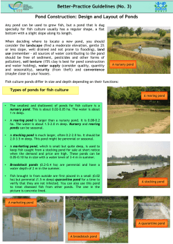 Pond Construction