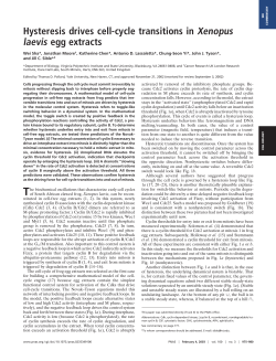 Hysteresis drives cell-cycle transitions in Xenopus laevis egg extracts