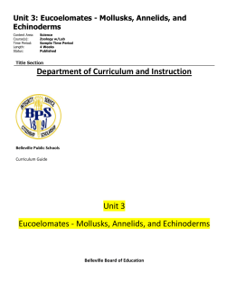 Mollusks, Annelids, and Echinoderms
