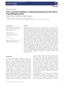 Color Assortative Mating in a Mainland Population of the Poison