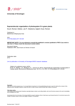 University of Groningen Supramolecular organization of