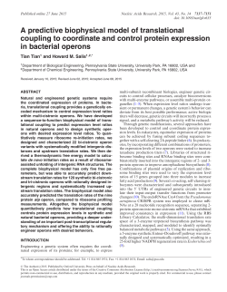 A predictive biophysical model of translational coupling to