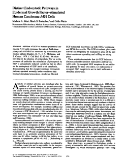 Distinct Endocytotic Pathways in Epidermal Growth
