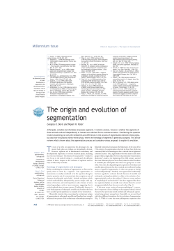 The origin and evolution of segmentation