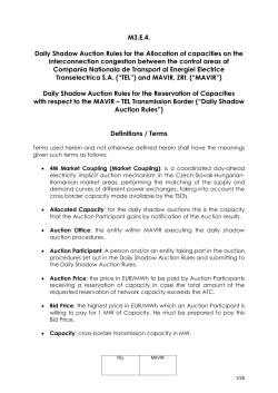 Daily Shadow Auction Rules TEL-MAVIR