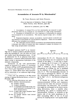 Accumulation of Arsenate-76 by Mitochondria* "Pi (4).
