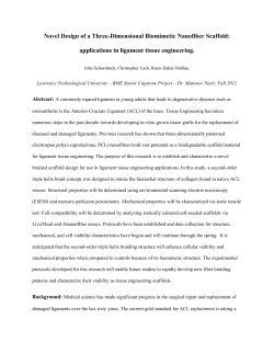 Scaffold Design Report