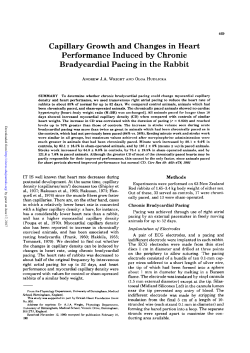 Capillary Growth and Changes in Heart Performance Induced by