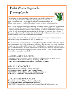 E.Fall and Winter Vegetable Planting Guide