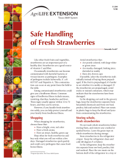 Safe Handling of Fresh Strawberries